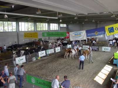 avo-open-2004-04