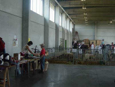 AVO.-2005-013-opt